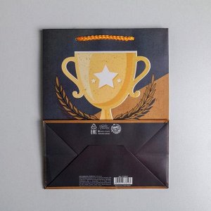 Пакет ламинированный вертикальный «Чемпиону», MS 18 × 23 × 10 см