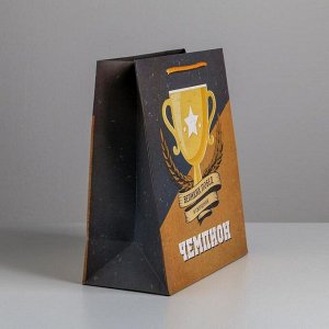Пакет ламинированный вертикальный «Чемпиону», ML 23 × 27 × 11,5 см