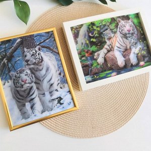 3Д картинка "Два белых тигра" 14,5 х 19,5 см х Т-0014, голографическая открытка с изображением белых тигров, без рамки