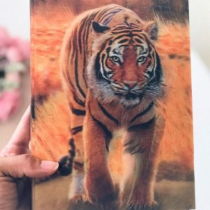 3Д картинка "Тигр в желтой траве" 14,5 х 19,5 см х Т-0018, голографическая открытка с изображением тигра, без рамки