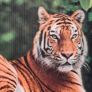 3Д картинка "Тигр в зеленом лесу" 14,5 х 19,5 см х Т-0019, голографическая открытка с изображением тигра, без фоторамки