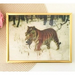 3Д картинка "Тигрица с тигренком зимой" 14,5 х 19,5 см х Т-0016, голографическая открытка с изображением тигров, без рамки