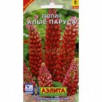 Люпин Алые паруса (Аэлита)