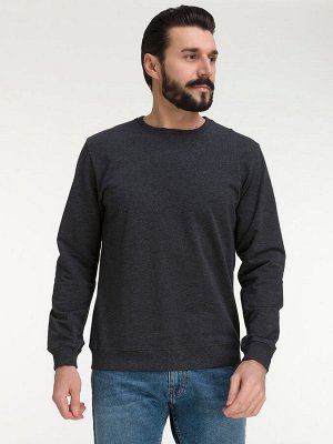 Свитшот мужской GREG G121-OZ02-30 (антрацит м.)