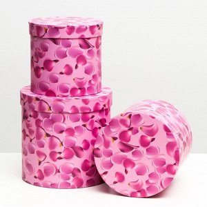 Набор круглых коробок 3 в 1 "Розовые лепестки", 19.5 x 19 - 15.5 x 15 см
