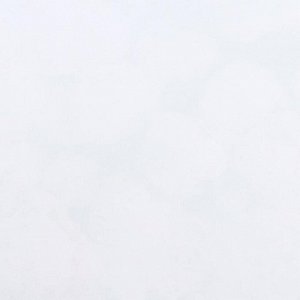 Бумага упаковочная  глянцевая "Букет цветов", 0,5 х 0,7 м 6878412