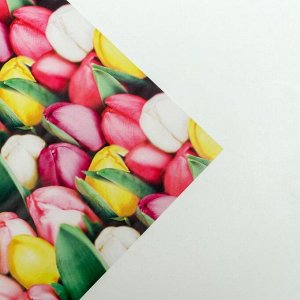 Бумага упаковочная глянцевая  «Тюльпаны с 8 марта», 70 ? 100 см