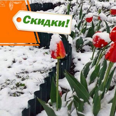 Сибгрядки.
