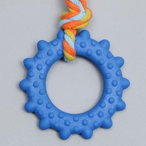 Игрушка жевательная с канатом "Кольцо с хвостом", синяя