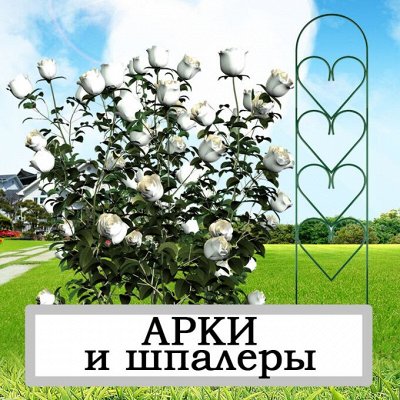 ДАЧНЫЙ СЕЗОН: арки и шпалеры