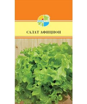 Салат В упаковке: 20 шт 
Самый популярный сорт листового салата для выращивании в разных световых зонах и климатических условиях. Срок выгонки около 30 дней, при этом растение не формирует кочан. Това
