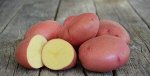 Картофель семенной