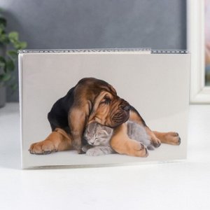 Фотоальбом на 36 фото, 18 листов "Пёс и котёнок" 10х15 см