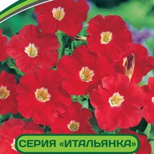 Петуния Итальянка Кларетта F1 многоцветковая каскадная