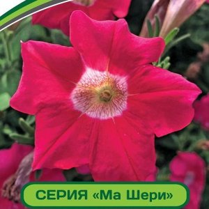Петуния Ма Шери Сара F1 многоцветковая полуампельная