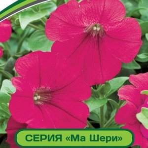 Петуния Ма Шери Фиона F1 многоцветковая полуампельная
