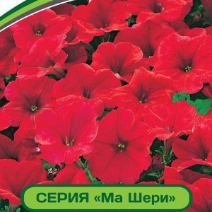 Петуния Ма Шери Франческа F1 многоцветковая полуампельная