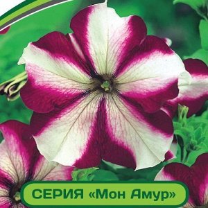 Петуния Мон Амур Эстель F1 многоцветковая прямостоячая