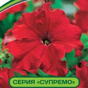 Петуния Супремо Виктория F1 крупноцветковая полуампельная