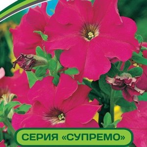 Петуния Супремо Эмилия F1 крупноцветковая полуампельная