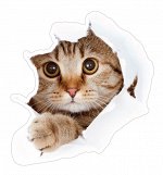 Декоративные виниловые наклейки 25х27 Удивление