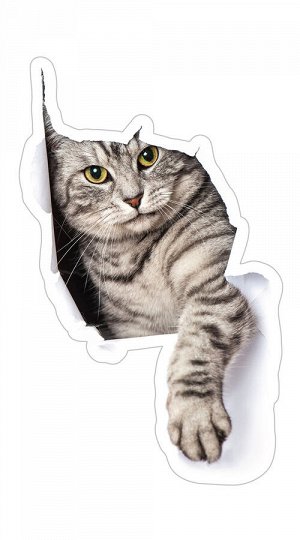 Декоративные виниловые наклейки 15х27 Кошка