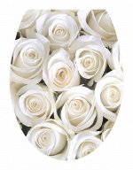 Декоративные виниловые наклейки 35х45 Розы белые