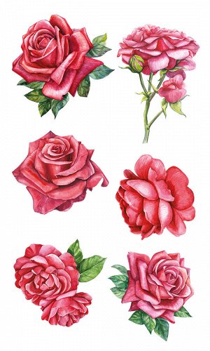 НАКЛЕЙКИ ДЕКОРАТИВНЫЕ ВИНИЛОВЫЕ 30х50 Красные розы