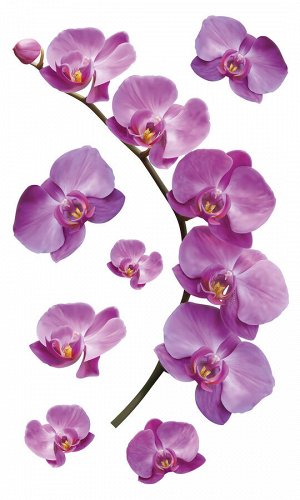 НАКЛЕЙКИ ДЕКОРАТИВНЫЕ ВИНИЛОВЫЕ 30х50 Веточка орхидеи
