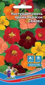 Цветы Настурция Сказка смесь ярких окрасок