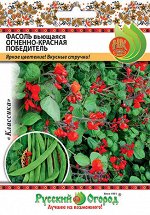 Фасоль вьющаяся огненно-красная Победитель НД (30гр)