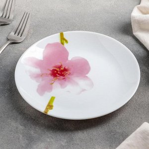 Тарелка десертная Water Color, d=19 см, цвет белый