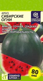 Арбуз Сибирские Огни/Сем Алт/цп 1 гр. Сибирская Селекция!