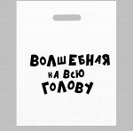 Пакет с приколами, полиэтиленовый с вырубной ручкой, «Волшебная на всю голову», 60 мкм 31 х 40 см