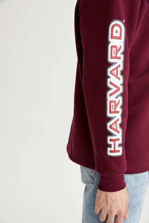 Cool Harvard University Licensed Oversize Fit Polo Collar Soft Feathered Sweatshirt