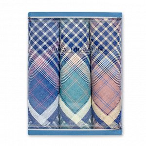 Подарочный набор мужских носовых платков "Etnica Collection" 3 шт