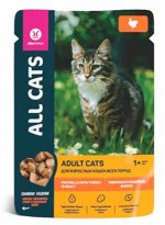 All Cats влажный корм для кошек Тефтельки с Индейкой в соусе 85гр пауч