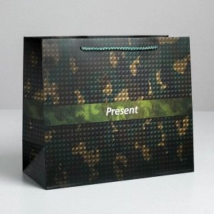 Пакет ламинированный горизонтальный «Present», ML 27 × 23 × 11,5 см