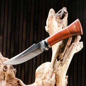 Нож охотничий "Торир", рукоять дерево, лезвие 13 см