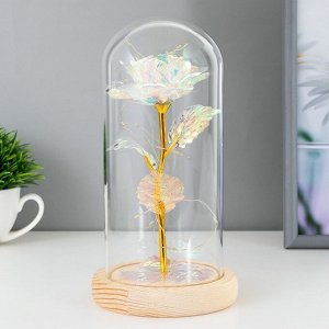 Фигурка светящаяся колба RISALUX «Яркий цветок», LED-ночник, от батареек 3xААА, 11x11x21.5 см