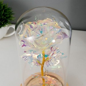 Фигурка светящаяся колба RISALUX «Яркий цветок», LED-ночник, от батареек 3xААА, 11x11x21.5 см