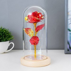 Фигурка светящаяся колба RISALUX «Красный цветок», LED-ночник, от батареек 3ААА, 11x11x21.5 см