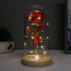 Фигурка светящаяся колба RISALUX «Красный цветок», LED-ночник, от батареек 3ААА, 11x11x21.5 см