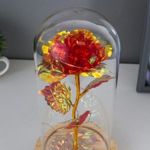 Фигурка светящаяся колба RISALUX «Красный цветок», LED-ночник, от батареек 3ААА, 11x11x21.5 см
