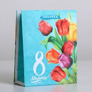 Пакет ламинированный вертикальный «Тюльпаны», S 12 ? 15 ? 5,5 см