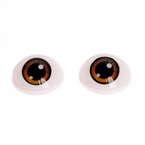 Глаза, набор 8 шт., размер 1 шт: 15,2?20,6 мм, цвет коричневый