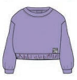 Свитшот Цвет: Фиолетовый, Тип ткани: Трикотаж, Материал: 100% хлопок