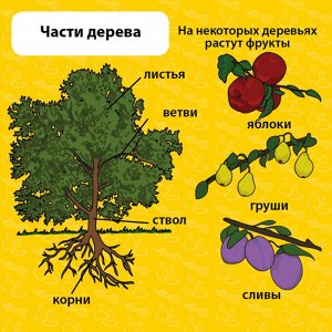 Правила игры