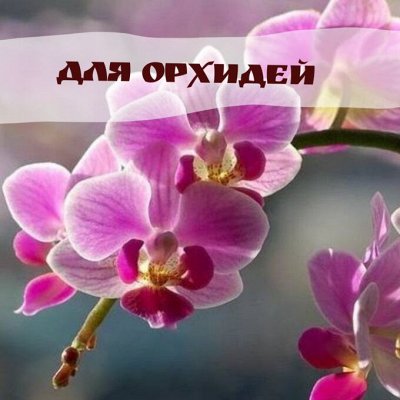 Стимуляторы и удобрения для орхидей