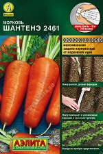 Морковь Шантенэ 2461